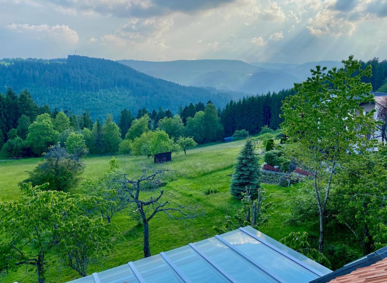 Ferienhaus mit 5* Luxus im Schwarzwald Gemeinde Gemeinde Aichhalden Exterior foto